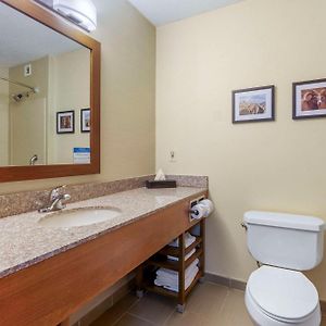 Queen Suite